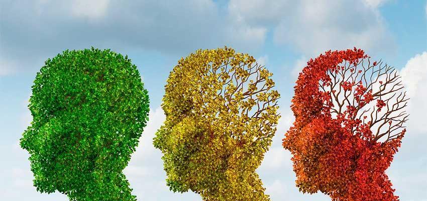 Três árvores em forma de cabeças de pessoas mostrando a perda das folhas exemplificando os estágios do alzheimer, como se a perda das folhas sinalizassem o esquecimento